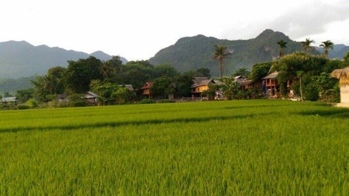 Lu'S Homestay Mai Châu Extérieur photo